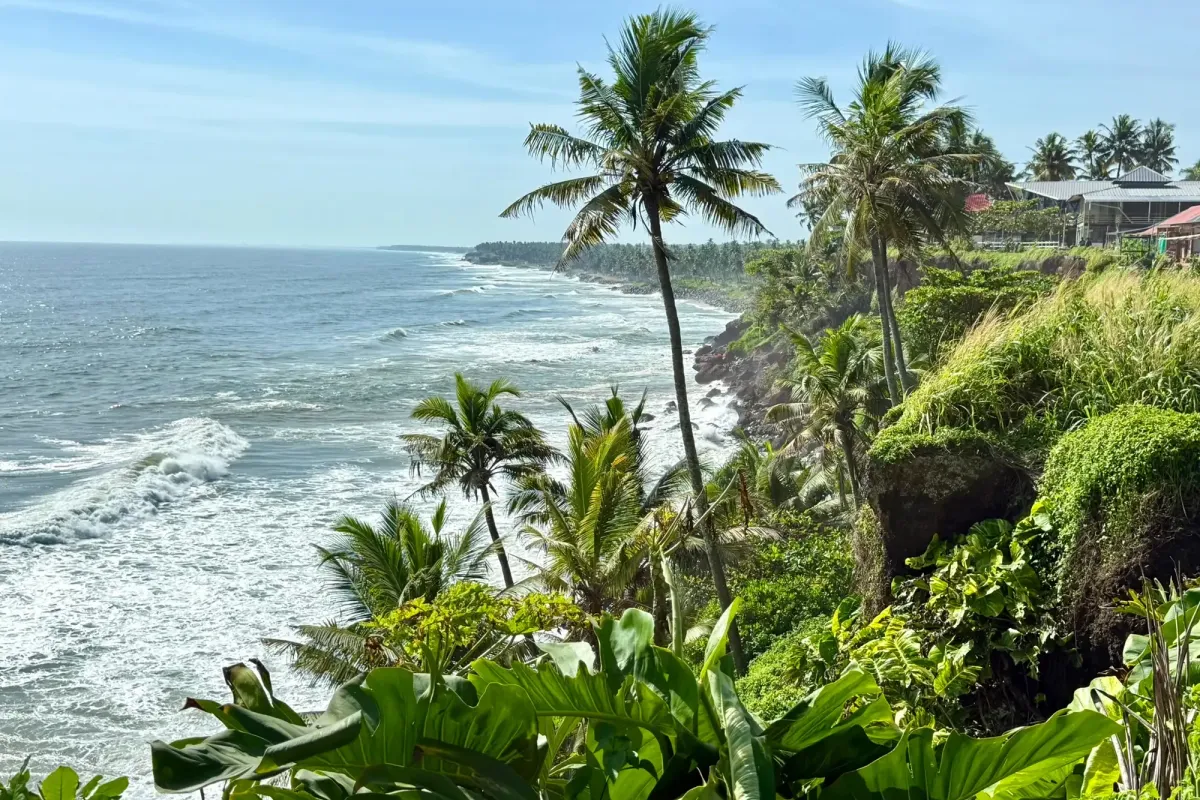 Coconut palms on the cliffs above the Arabian Sea at Varkala