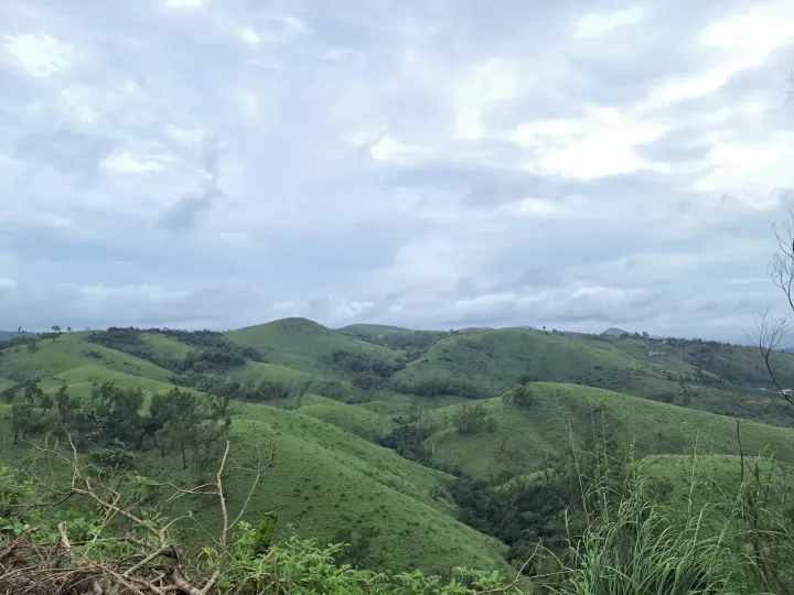 Rolling grassy hills with patches of woodland at Vagamon