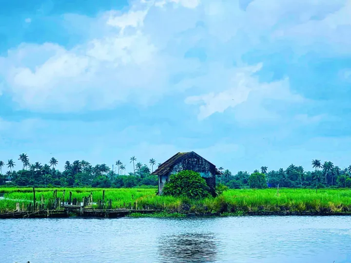 A small hut between open water and green paddy fields on Kadamakkudi island