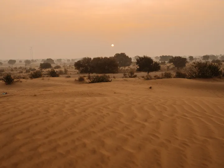 Serene view of the Thar Desert at sunset, capturing the natural beauty and tranquility of the Indian landscape.
